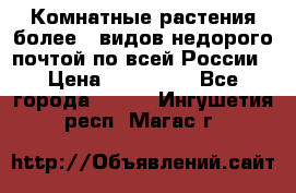 Комнатные растения более200видов недорого почтой по всей России › Цена ­ 100-500 - Все города  »    . Ингушетия респ.,Магас г.